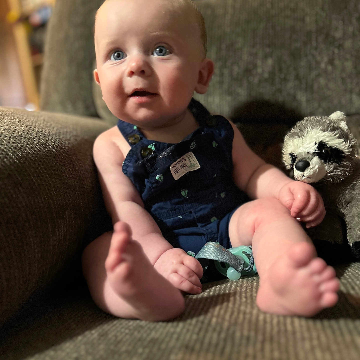 Kolton is registered to the contest to win money with this photo: animal, baby, bodypart, canine, chair, clothing, couch, cushion, dog, face, finger, furniture, hand, head, homedecor, pants, person, photography, portrait, sitting