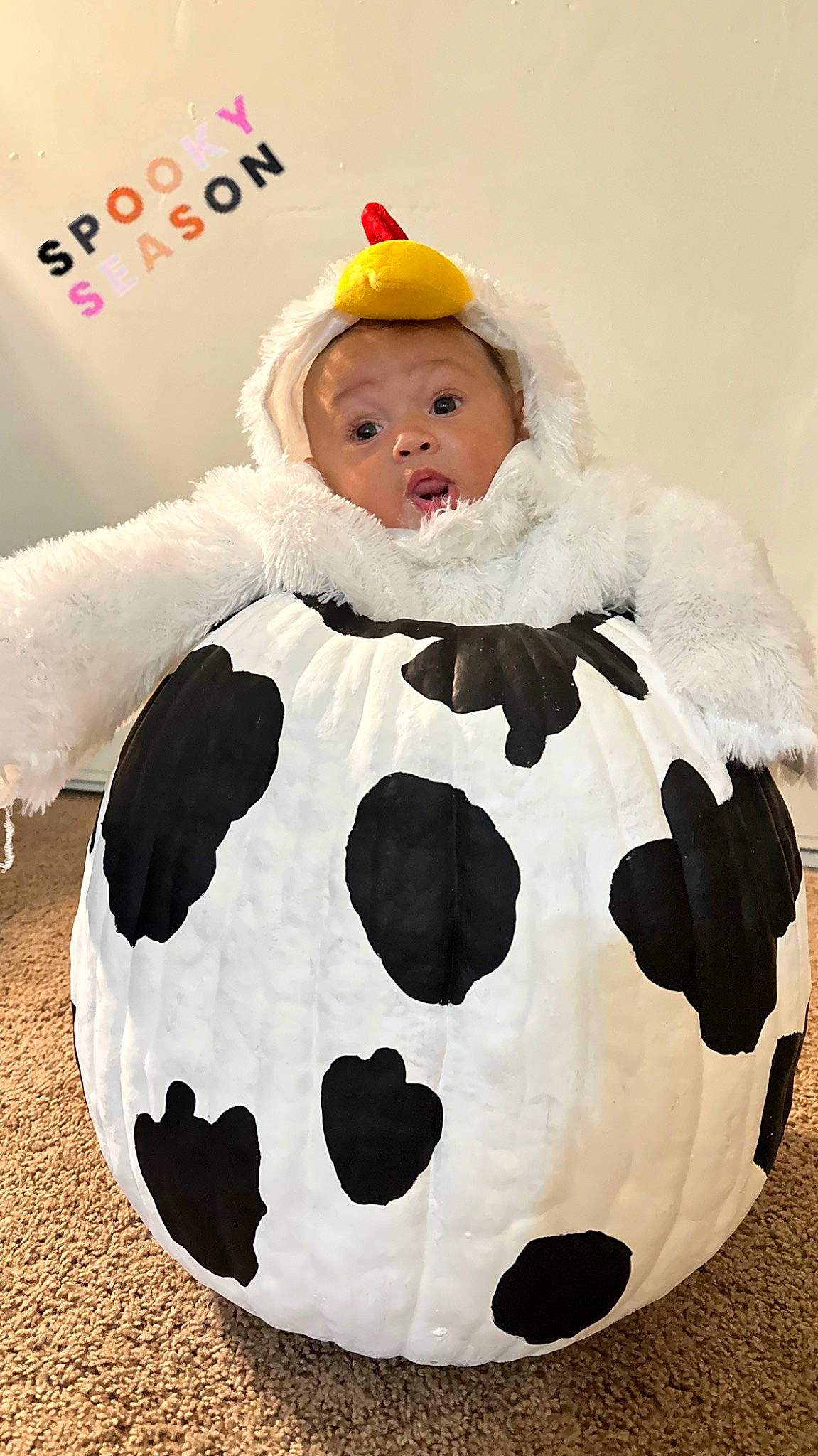 Malani is registered to the contest to win money with this photo: baby, baby_toddler_clothing, ball, child, costume, fun, fur, happy, hat, headwear, pattern, person, surprise, terrestrial_animal, toddler, toy, white