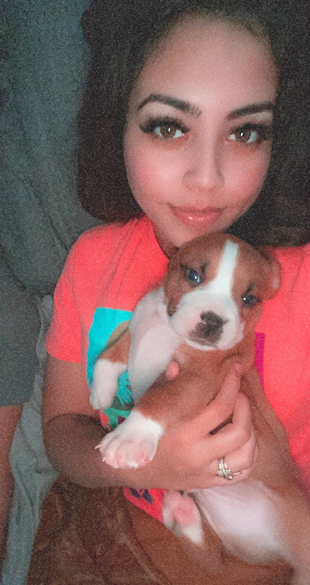 Marcel joined the competition — help win amazing prizes! carnivore, comfort, companion_dog, dog, dog_breed, ear, eyebrow, eyelash, fawn, flash_photography, fur, happy, nose, organ, skin, smile, snout, sporting_group, toy_dog, whiskers