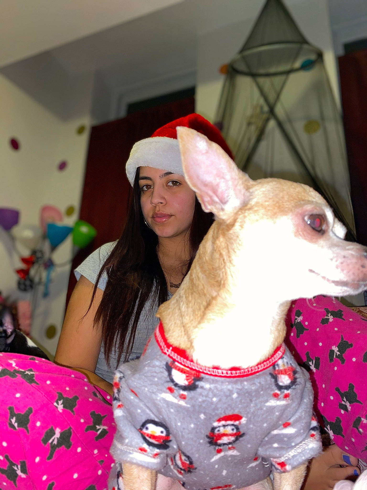 Sassy joined the competition — help win amazing prizes! canidae, carnivore, companion_dog, costume, dog, dog_breed, dog_clothes, dog_supply, event, fawn, fun, happy, magenta, pattern, pink, snout, sporting_group, t_shirt, whiskers, working_animal