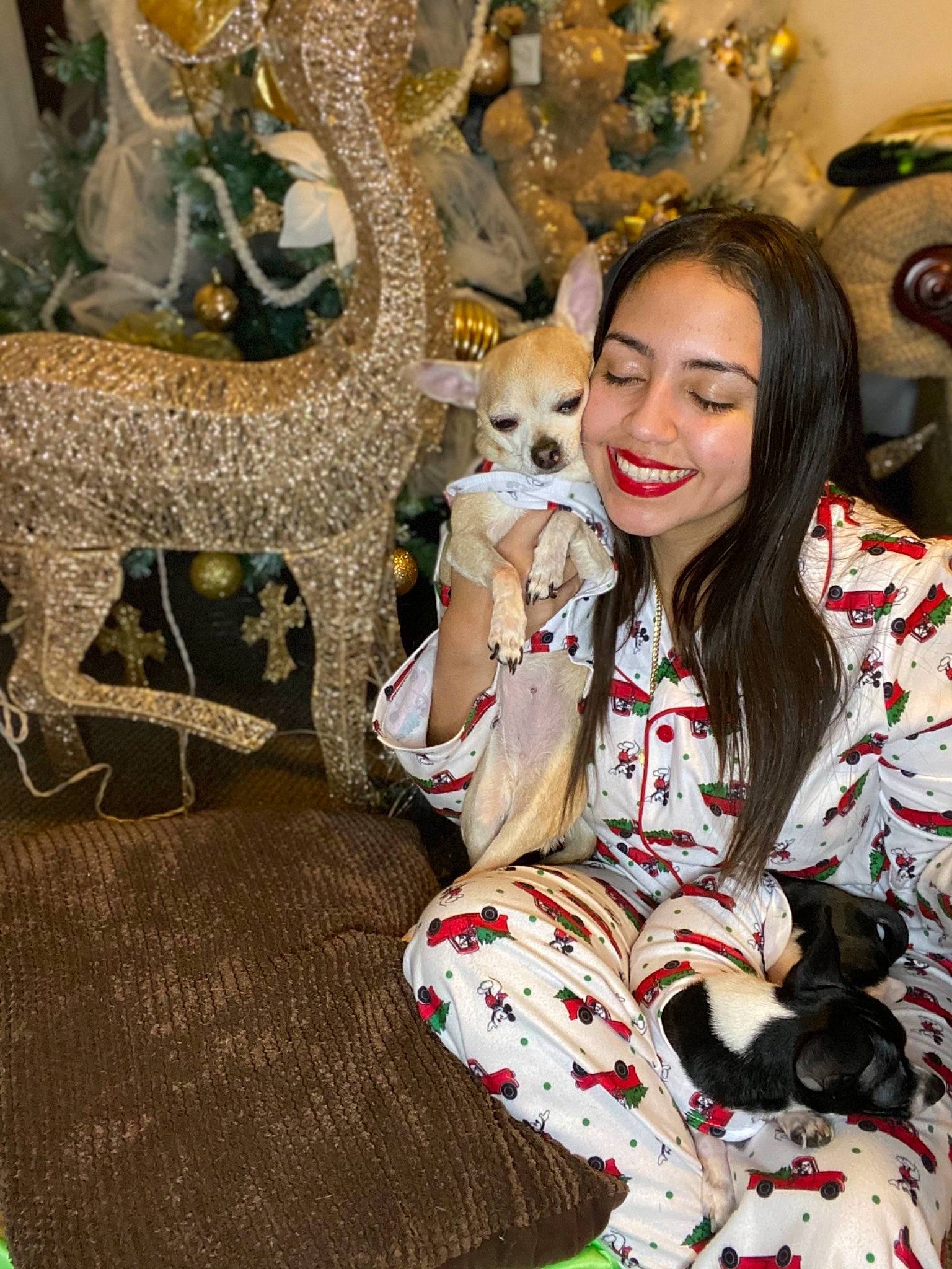 Sassy is registered to the contest to win money with this photo: art, christmas_eve, christmas_ornament, companion_dog, deer, event, fawn, felidae, fun, fur, fur_clothing, happy, holiday, lap, ornament, pattern, reindeer, smile, textile, toy