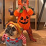 Haïlie Jeanne a rejoint le concours — aidez-le/la à gagner de superbes lots ! adorable, child, clothing, costume, cute, dog, face, floor, funny, furniture, halloween, headwear, indoor, orange, pet, playful, pumpkin, striped, toddler, wooden_floor