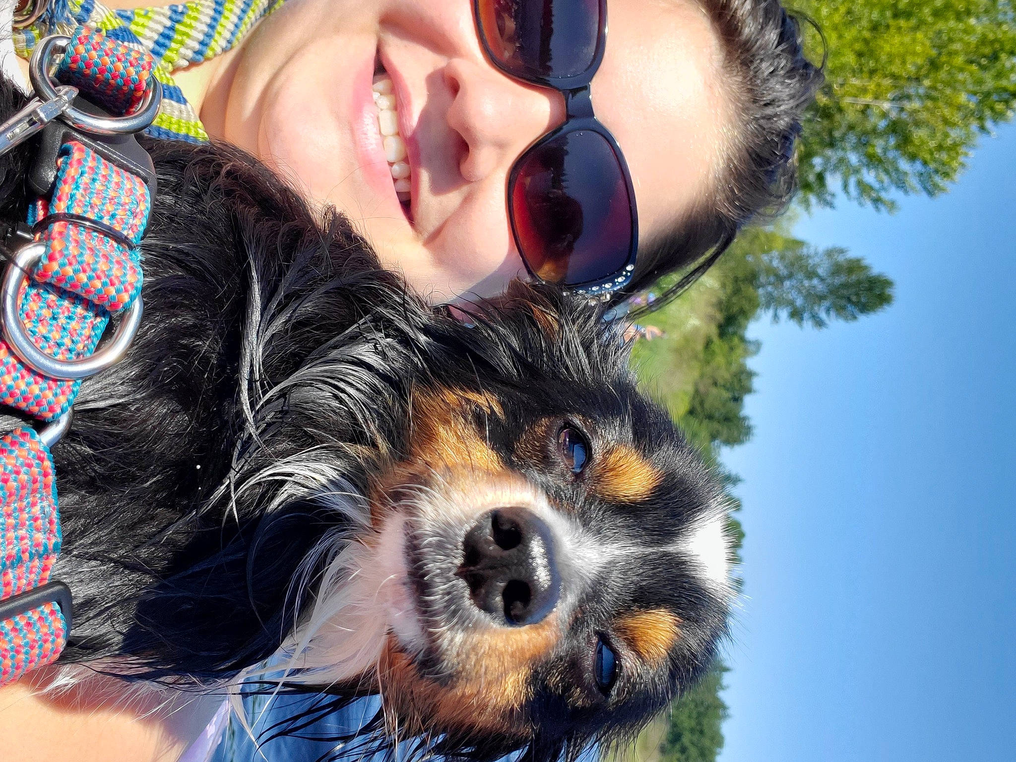 Milo joined the competition — help win amazing prizes! australian_shepherd, bernese_mountain_dog, canidae, carnivore, companion_dog, cool, dog, dog_breed, eyewear, fun, glasses, human, nose, photography, puppy_love, selfie, snout, sporting_group, sunglasses, working_dog