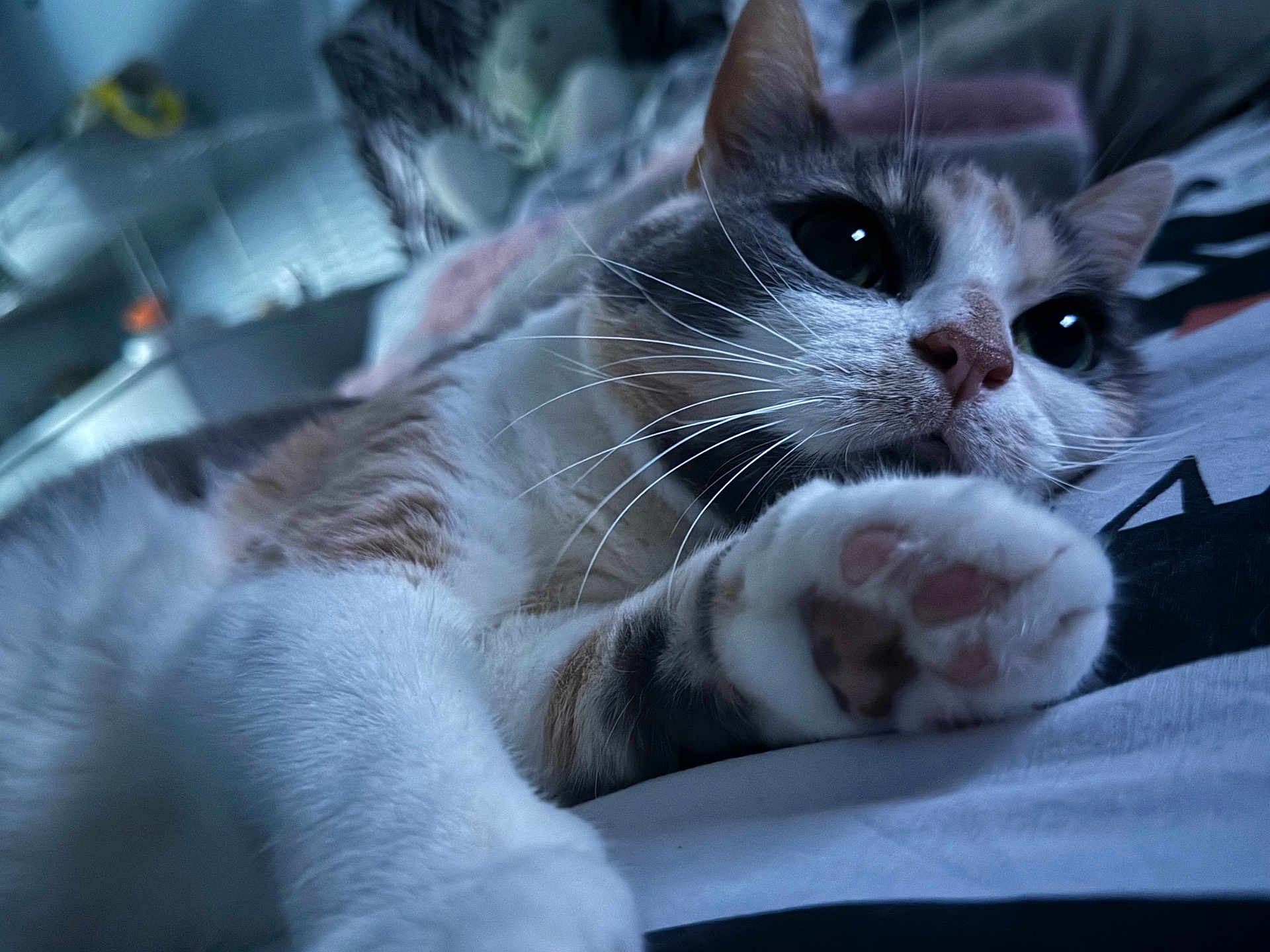 Minette