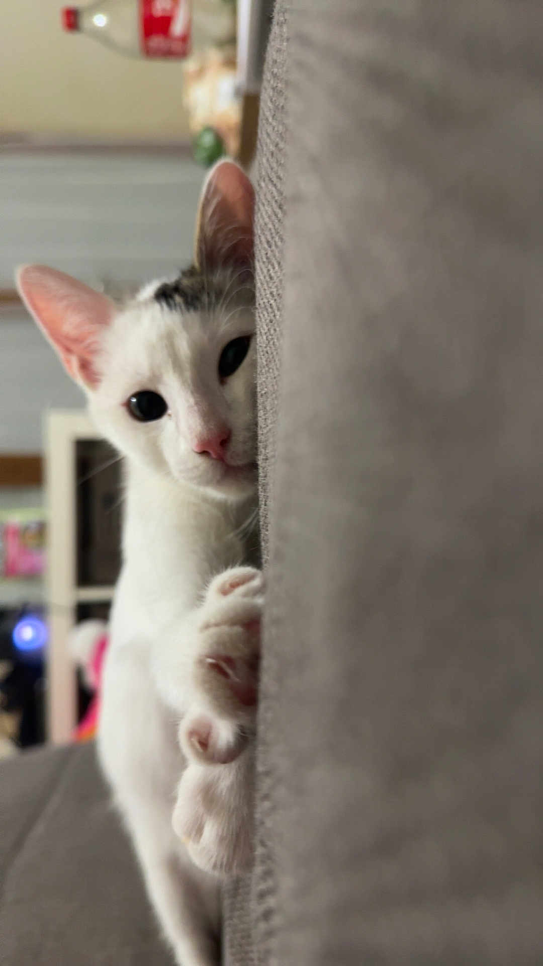 Pat