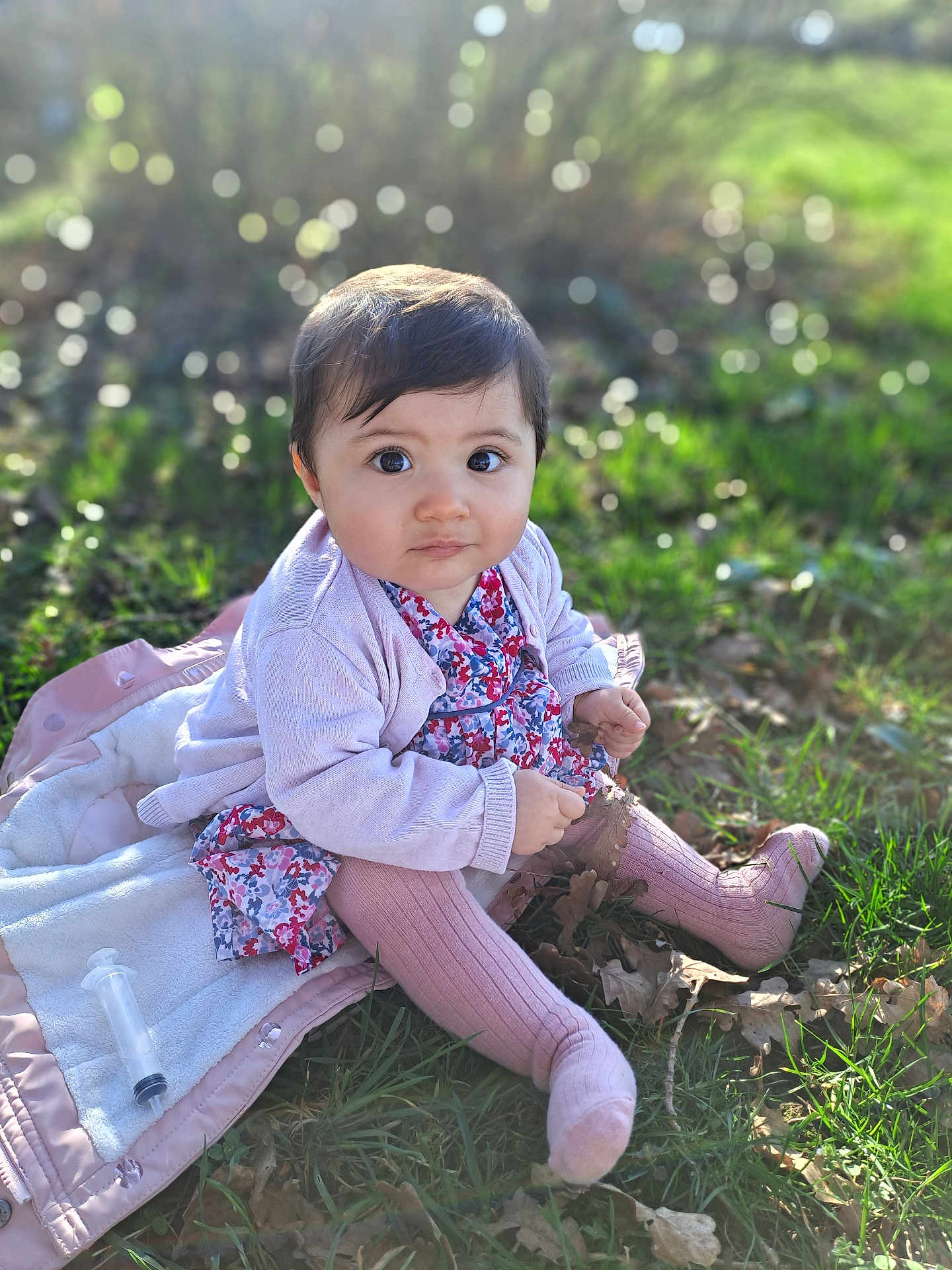 Rose participe au concours pour gagner de l'argent avec cette photo : baby, child, toddler, sitting, outdoor, grass, blanket, jacket, dress, tights, leaves, syringe, bokeh, sunlight, portrait, face, big_eyes, pink_clothing, hair, hands