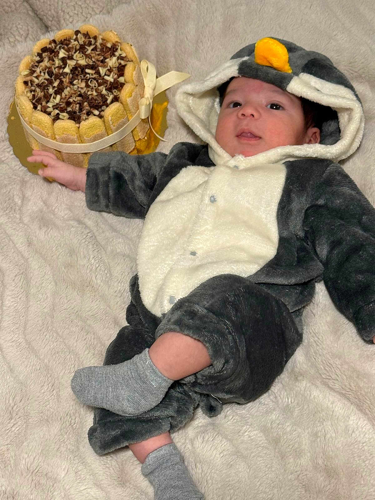 Jacob is registered to the contest to win money with this photo: baby, child, penguin_costume, costume, cake, dessert, food, blanket, soft_texture, sock, celebration, cute, indoor, portrait, person, smile, happy, lying_down, cozy, chocolate
