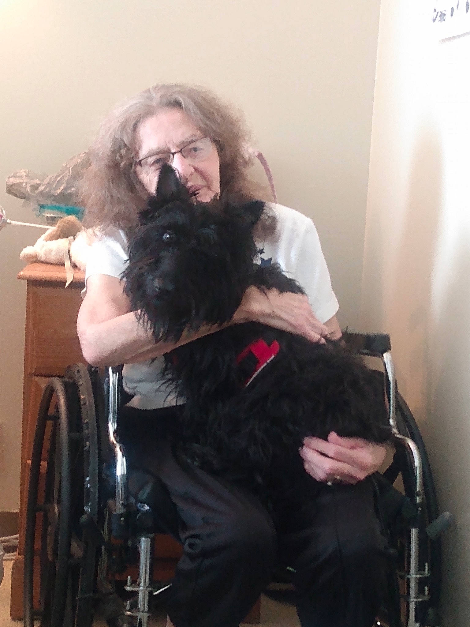 Angel is registered to the contest to win money with this photo: beard, beauty_salon, black_hair, carnivore, chair, comfort, companion_dog, dog, dog_breed, eyewear, fashion_design, gesture, glasses, hair, hairdresser, happy, long_hair, sunglasses, vision_care, wheel