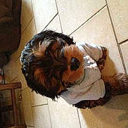 Iron participe au concours pour gagner de l'argent avec cette photo :