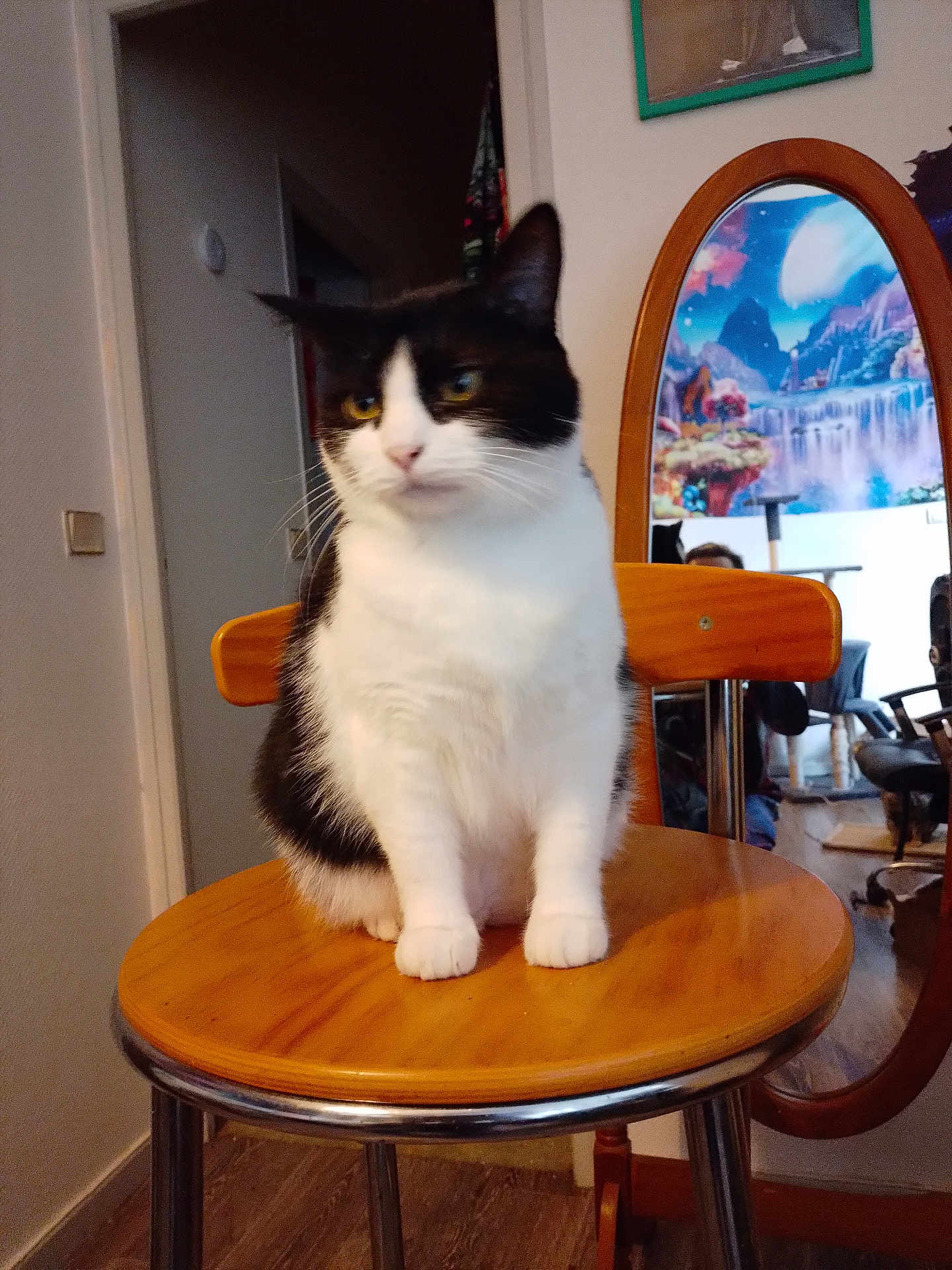 Luna