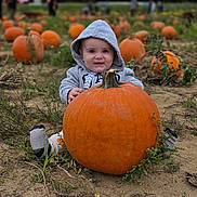 Matthew is registered to the contest to win money with this photo: baby, pumpkin, hoodie, outdoor, field, child, smile, fall, autumn, nature, plants, grass, person, portrait, sitting, cute, happy, seasonal, crop, vegetable