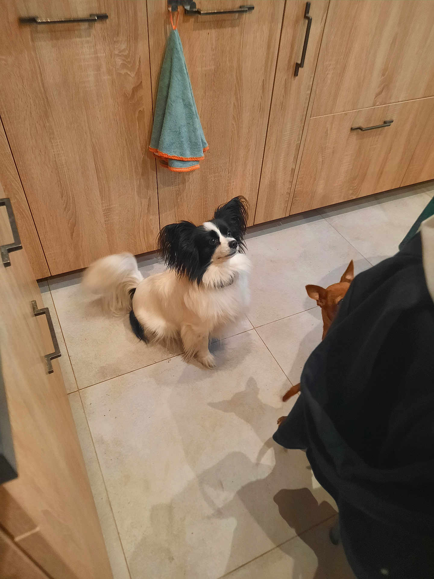 Olympe