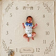 Lemon joined the competition — help win amazing prizes! baby, beige, blanket, bow_tie, child, cute, decorative_leaves, elephant, indoors, infant, lying_down, milestone_blanket, months, newborn, numbers, onesie, panda_pattern, portrait, ring_toy, toy