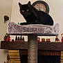 Guizmo participe au concours pour gagner de l'argent avec cette photo : black_cat, cat_tree, paw, fireplace, clock, mantel, decorations, indoor, pet, feline, cozy, home, grooming, raised_paw, toy, wood, stone, warm_light, sitting, fur