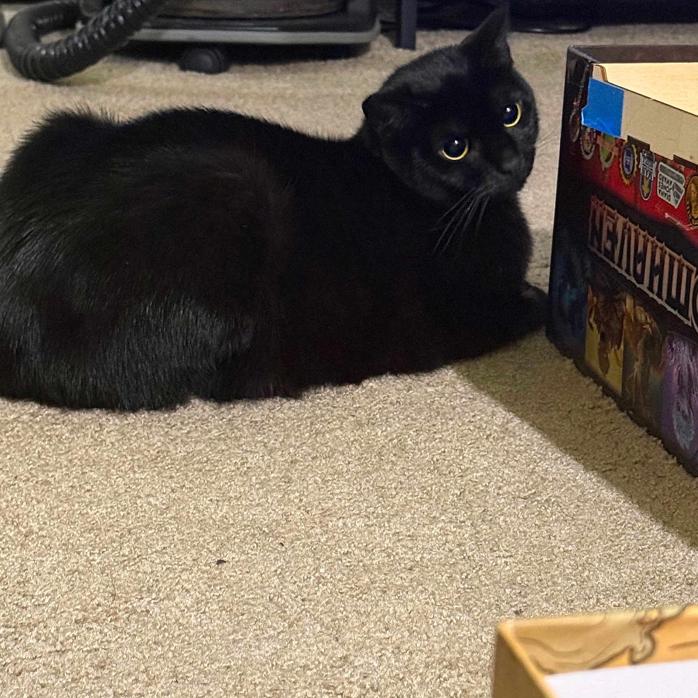 Nyx