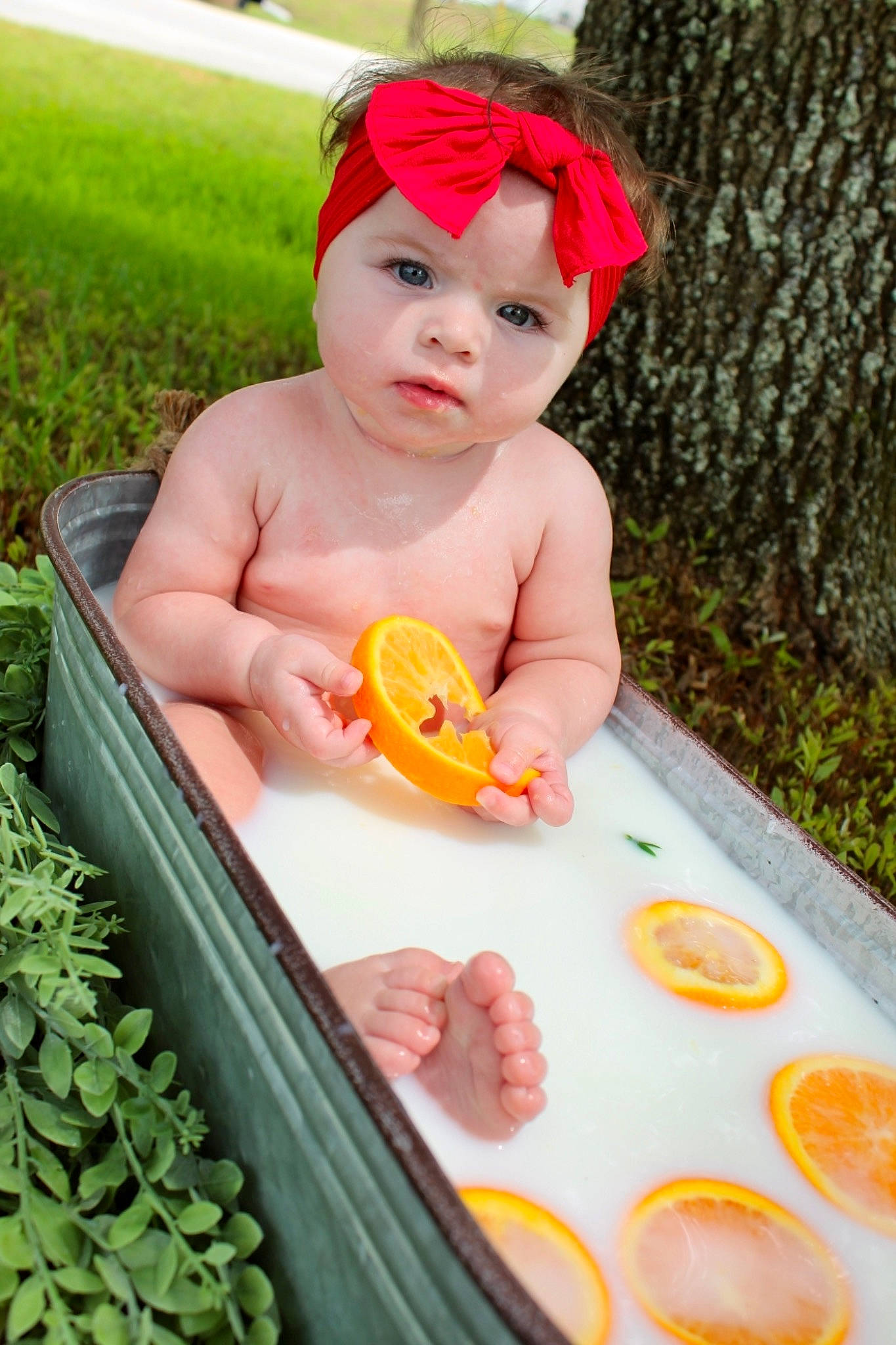 Brayleigh joined the competition — help win amazing prizes! baby, baby_toddler_clothing, child, dress, finger, food, fruit, fun, grass, green, happy, headwear, leaf, orange, people_in_nature, person, plant, skin, tableware, thumb