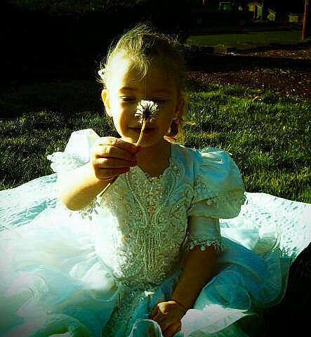 Kyra is registered to the contest to win money with this photo: botany, bridal_accessory, bridal_clothing, child, dress, event, flash_photography, formal_wear, fun, gesture, grass, hand, happy, leisure, people_in_nature, person, plant, sitting, sunlight, toddler