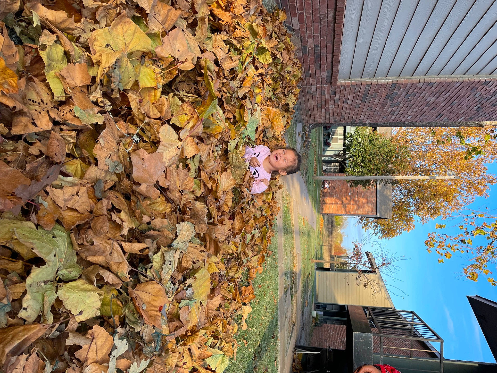 Jazlyn joined the competition — help win amazing prizes! brick, deciduous, facade, joy, landscape, leisure, person, plant, rock, shadow, sky, soil, tints_and_shades, tree, trunk, urban_design, wood, woody_plant