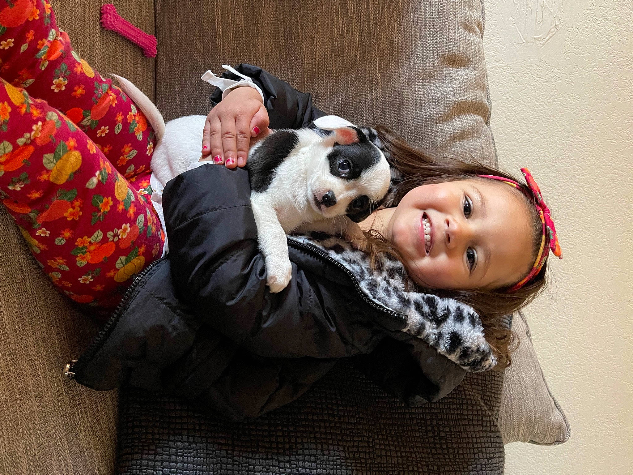 Jazlyn joined the competition — help win amazing prizes! bag, canidae, carnivore, comfort, companion_dog, dog, dog_breed, fawn, happy, joy, lap, luggage_and_bags, person, smile, sporting_group, street_fashion, stuffed_toy, suit, sunglasses, tie