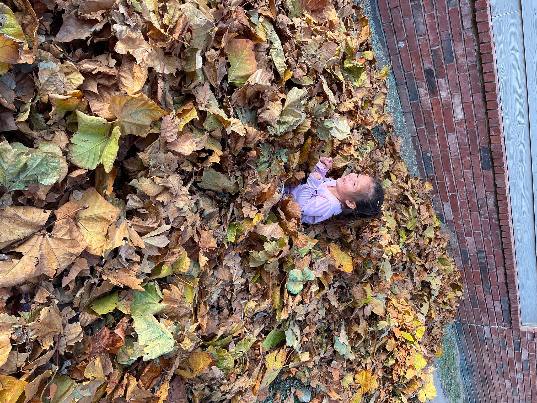 Jazlyn joined the competition — help win amazing prizes! annual_plant, autumn, brick, deciduous, grass, groundcover, joy, litter, metal, person, plant, pollution, rock, soil, twig, vascular_plant, waste, wood