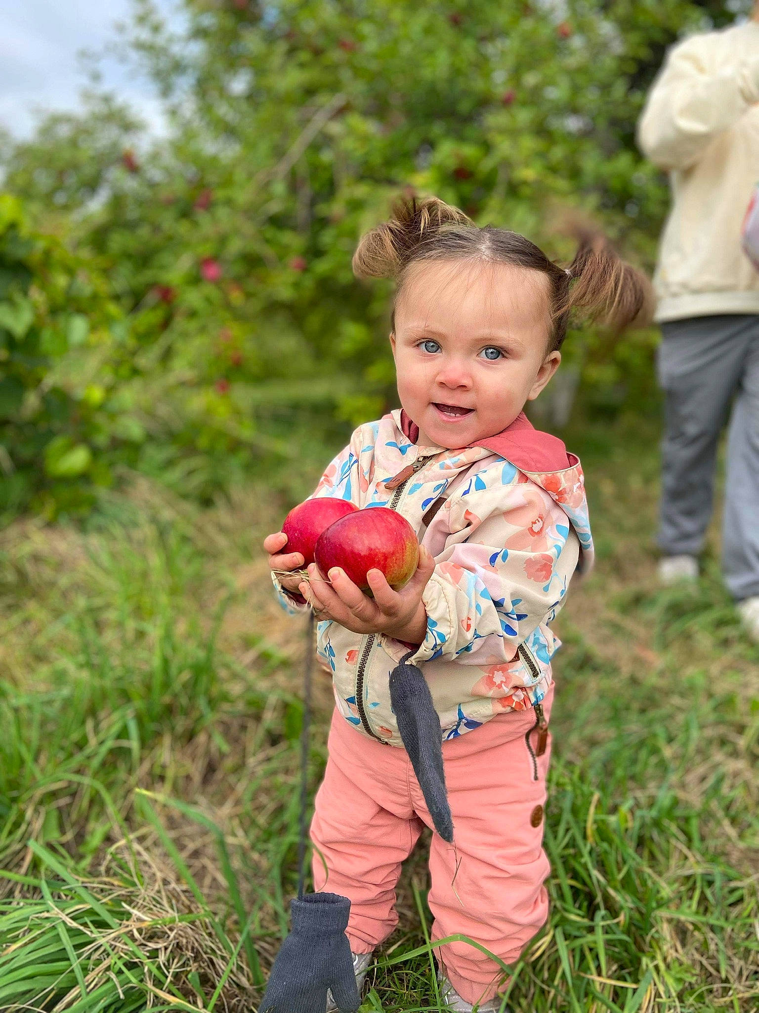 Abby participe au concours pour gagner de l'argent avec cette photo : baby, baby_toddler_clothing, child, fruit, grass, grass_family, grassland, happy, lawn, leaf, leisure, meadow, people_in_nature, person, plant, prairie, recreation, smile, toddler, tree