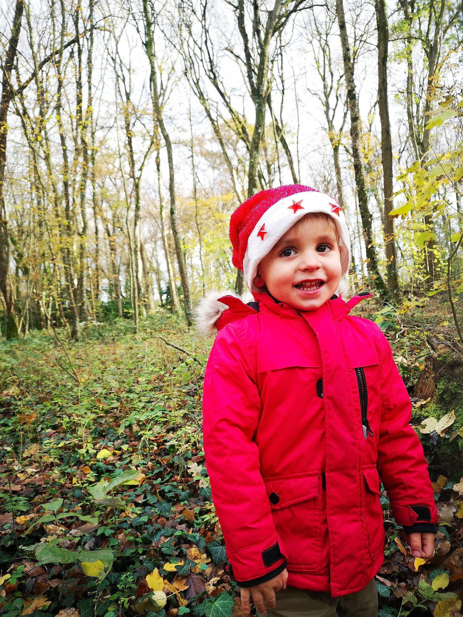 James participe au concours pour gagner de l'argent avec cette photo : autumn, baby_toddler_clothing, beanie, bonnet, cap, child, child_model, deciduous, forest, happy, headwear, hood, jacket, joy, laugh, outerwear, people_in_nature, person, sleeve, toddler