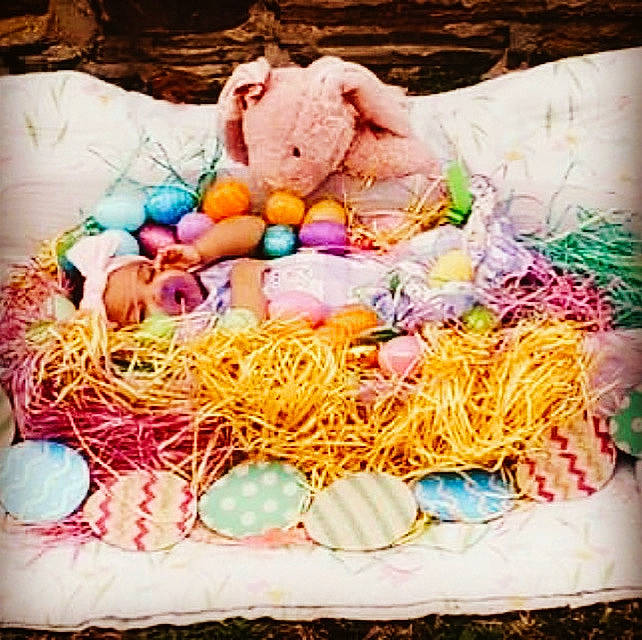 Audrina joined the competition — help win amazing prizes! art, basket, bird_nest, easter, easter_egg, egg, event, food, fruit, grass, headwear, ingredient, local_food, natural_foods, nest, painting, person, still_life, still_life_photography, stuffed_toy