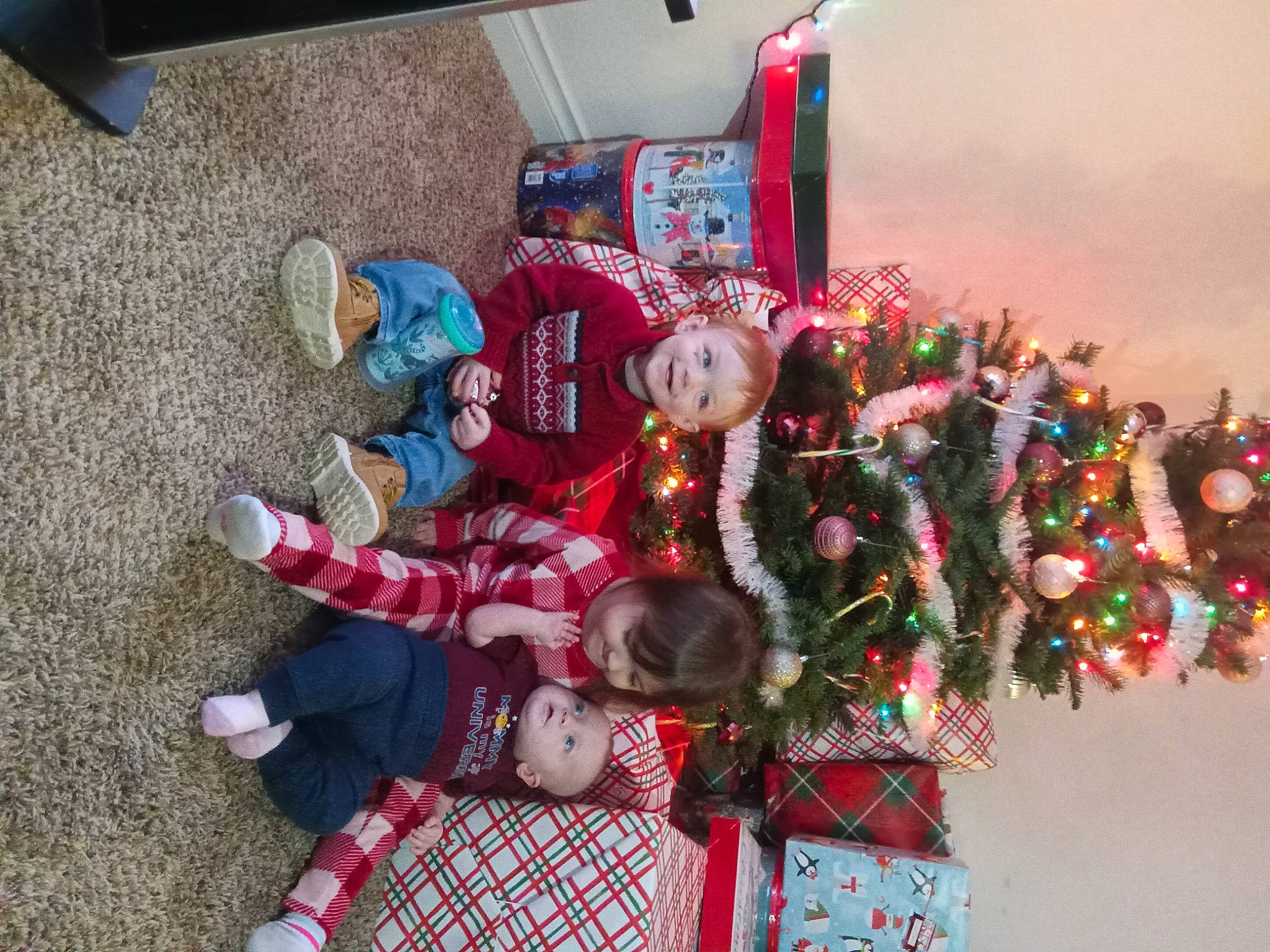 Jasper joined the competition — help win amazing prizes! christmas, christmas_decoration, christmas_eve, christmas_ornament, christmas_tree, event, fun, holiday, holiday_ornament, joy, lap, ornament, person, photograph, plant, red, snapshot, tartan, toddler, toy