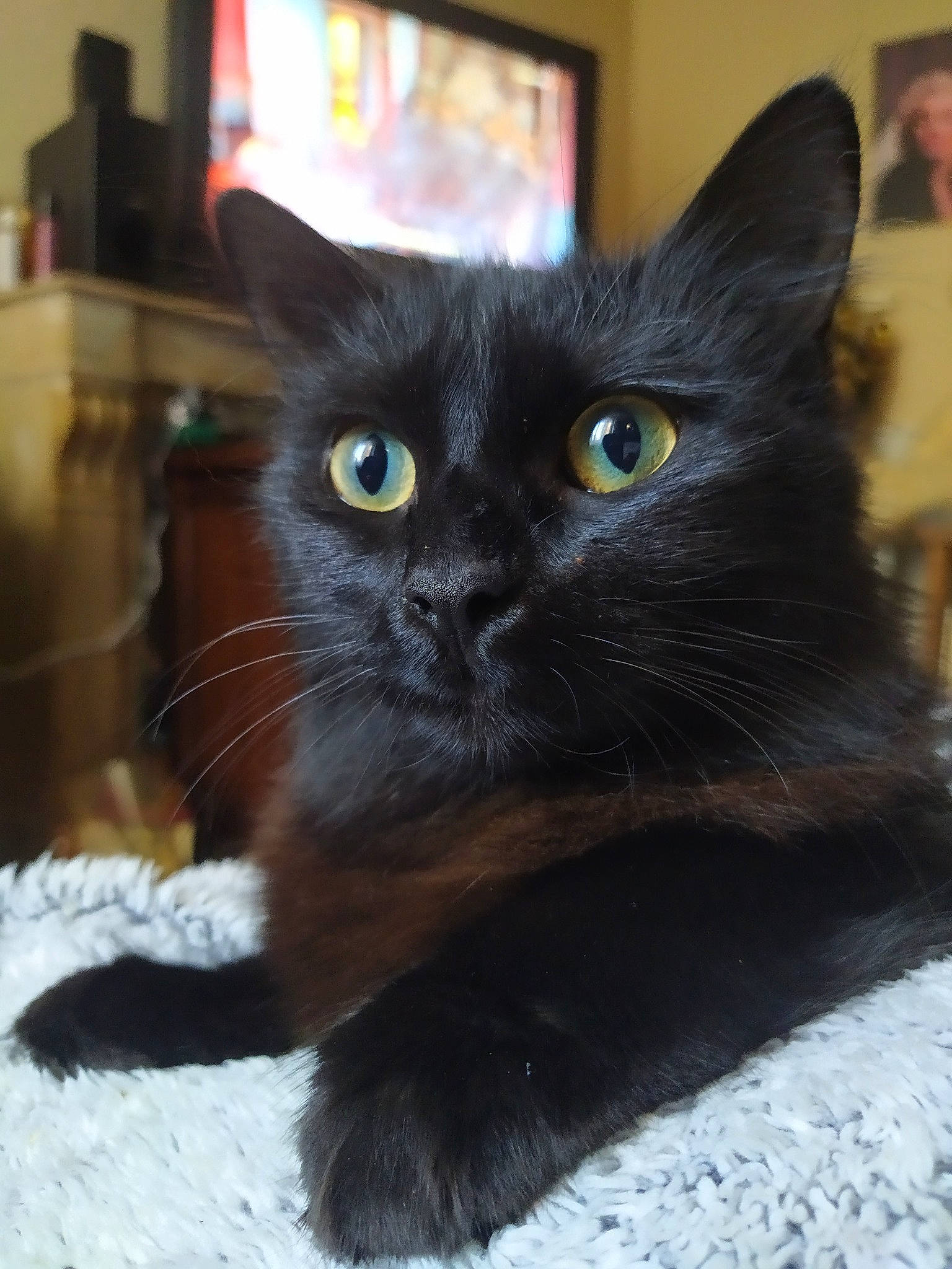 Moly