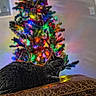 cat, gray_cat, christmas_tree, holiday_lights, colorful_lights, leather_couch, indoor, festive, cozy, pet, animal, relaxed, feline, whiskers, holiday_decor, soft_lighting, home, background, blurred_background, resting