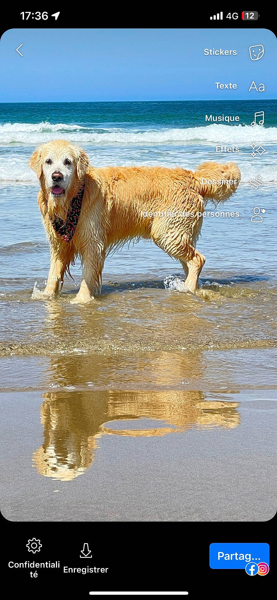 Léo participe au concours pour gagner de l'argent avec cette photo : beach, canidae, carnivore, companion_dog, dog, dog_breed, fawn, gun_dog, lake, liquid, ocean, retriever, sky, sporting_group, tail, water, wave, wind_wave, working_animal, working_dog