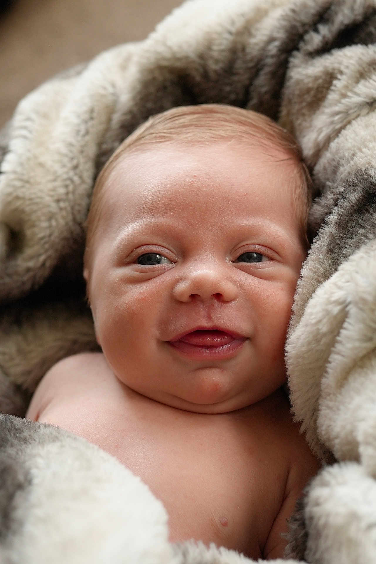 Isaac is registered to the contest to win money with this photo: baby, infant, smiling, face, blanket, soft, cozy, skin, closeup, cute, child, newborn, warm, expression, portrait, young, wrapped, happy, comfort, indoors