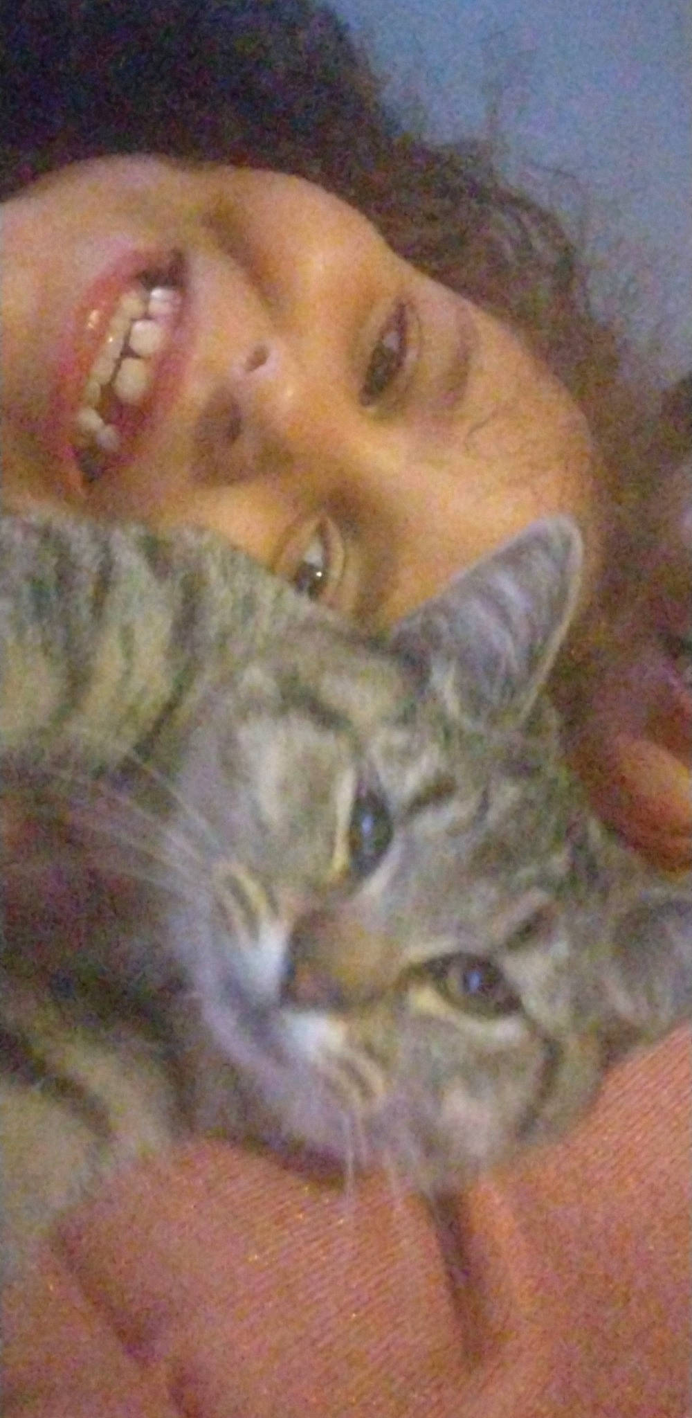 Mimie participe au concours pour gagner de l'argent avec cette photo : carnivore, cat, domestic_short_haired_cat, ear, eyelash, felidae, fur, gesture, happy, iris, moustache, nose, organ, photo_caption, selfie, small_to_medium_sized_cats, smile, snout, whiskers