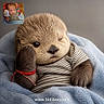 baby, child, otter, animal, infant, striped_shirt, blanket, portrait, close_up, fluffy, cute, wide_eyed, inset_image, seated, cozy, wildlife, brown_fur, red_bracelet, watermark, indoor