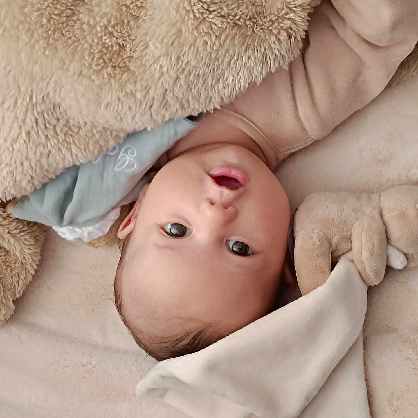 Gabriel participe au concours pour gagner de l'argent avec cette photo : adorable, baby, blanket, child, clothing, comfort, cozy, cute, expression, face, head, indoors, infant, lying_down, plush_toy, resting, skin, sleepwear, soft_texture, warm