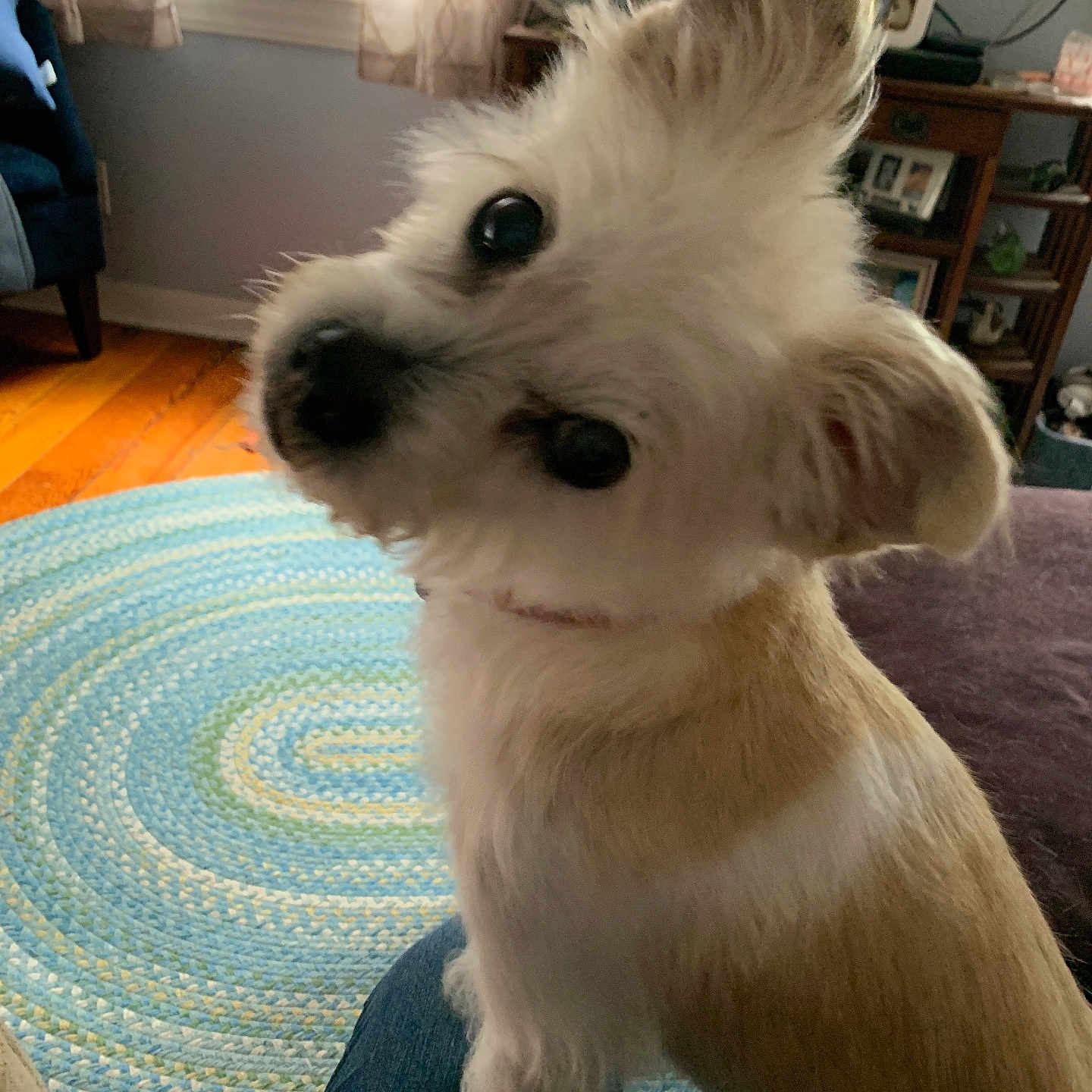 Rosie