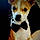 Oliver