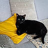 black_cat, cat, pet, animal, green_eyes, whiskers, pointed_ears, lying_down, lounging, yellow_pillow, sofa, couch, cushions, patterned_fabric, living_room, indoor, cozy, portrait, relaxed, photography