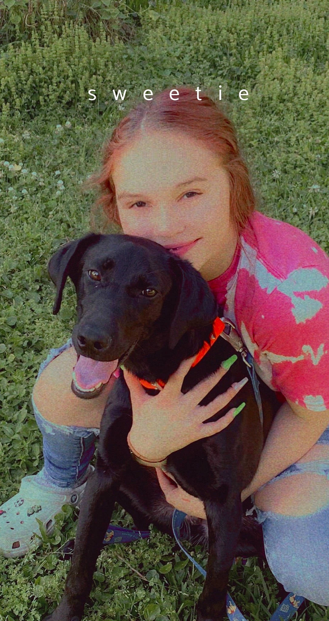 Chevy joined the competition — help win amazing prizes! borador, canidae, carnivore, collar, companion_dog, dog, dog_breed, dog_collar, fawn, goggles, grass, gun_dog, happy, leisure, personal_protective_equipment, pink, pointing_breed, snout, sporting_group, working_animal