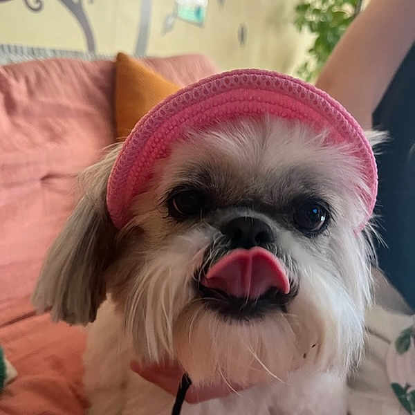Mia