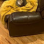 Maverick joined the competition — help win amazing prizes! cat, tabby, yellow_blanket, leather_chair, indoor, wooden_floor, pet, feline, curious, sitting, cozy, fur, ears, whiskers, eyes, domestic_animal, home, furniture, comfort, relaxation