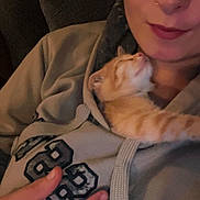 Lucky joined the competition — help win amazing prizes! person, kitten, cat, hoodie, couch, hand, ring, nose_ring, face, pet, indoor, cozy, snuggling, orange_tabby, comfort, relaxation, casual, portrait, closeup, warmth