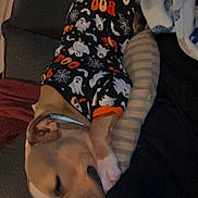 Nova joined the competition — help win amazing prizes! dog, sleeping, pajamas, halloween, ghosts, boo, couch, blanket, resting, pet, cozy, indoor, cute, animal, comfort, relaxation, brown_dog, face_partial, person, home