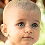 baby, child, face, blue_eyes, curious, close_up, portrait, skin, hair, expression, innocent, young, cute, natural_light, outdoor, soft_focus, head, shoulders, person, infant