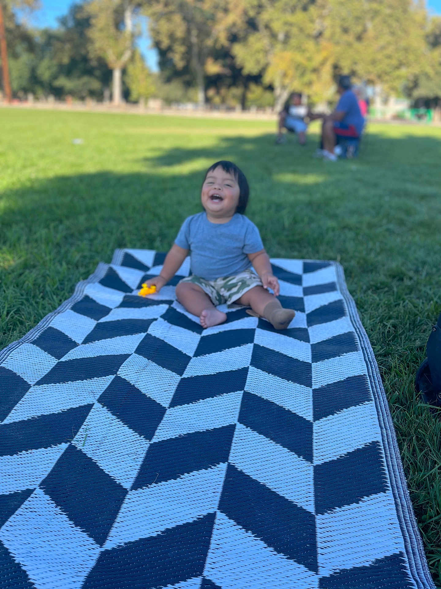 Zarel is registered to the contest to win money with this photo: toddler, child, blanket, grass, outdoor, park, toy, laughing, happy, person, summer, nature, greenery, casual_clothing, shorts, tshirt, barefoot, sunlight, trees, recreation