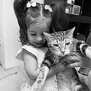 Tessa a rejoint le concours — aidez-le/la à gagner de superbes lots ! child, girl, cat, pet, indoor, pigtails, dress, animal, cute, smile, holding, fur, face, person, young, domestic, friendly, home, adorable, playful