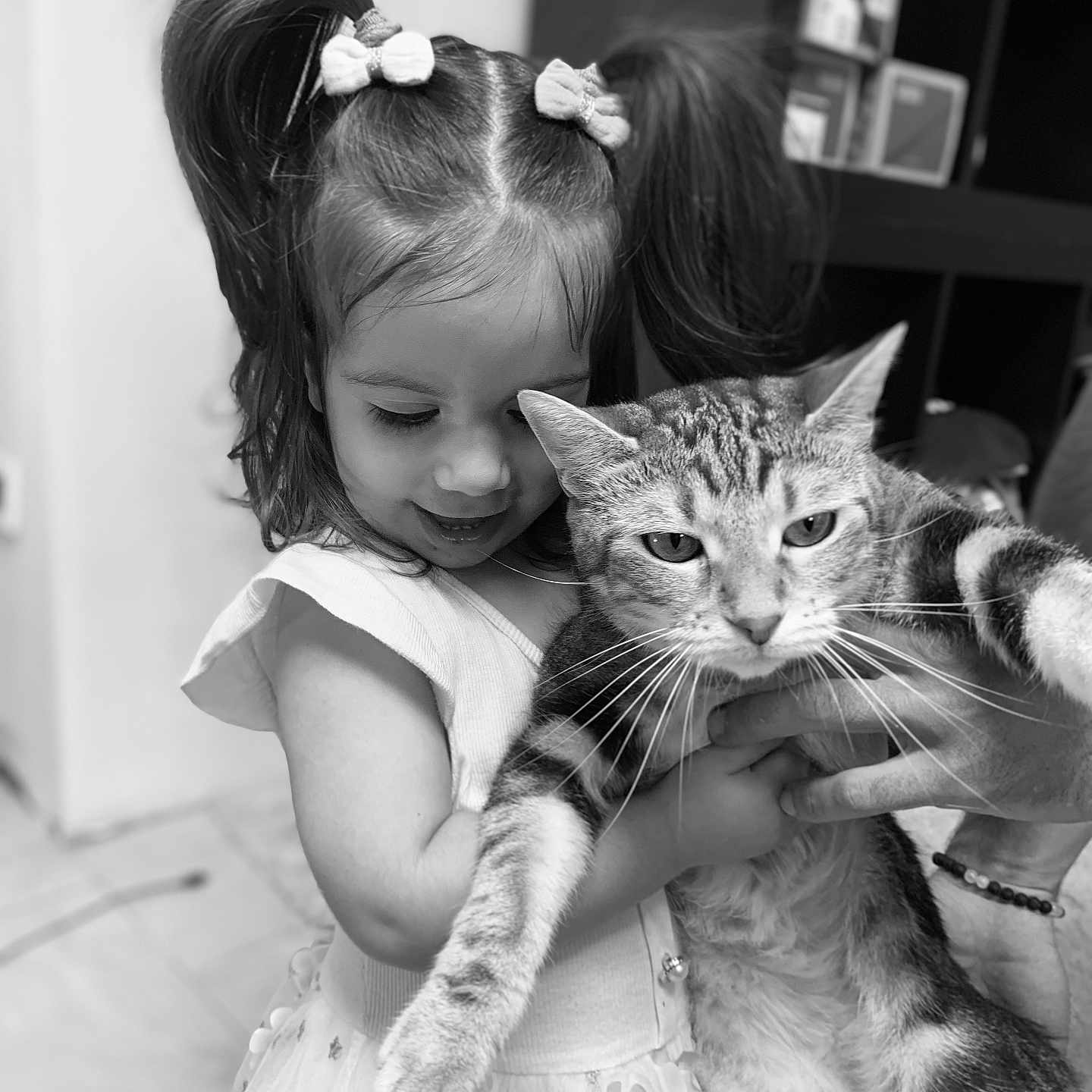 Tessa a rejoint le concours — aidez-le/la à gagner de superbes lots ! adorable, animal, cat, child, cute, domestic, dress, face, friendly, fur, girl, holding, home, indoor, person, pet, pigtails, playful, smile, young