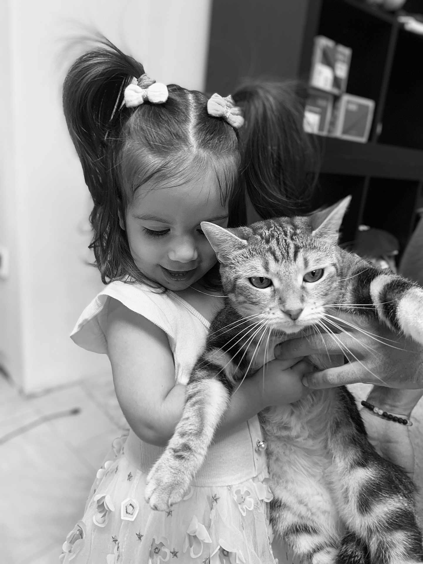 Tessa a rejoint le concours — aidez-le/la à gagner de superbes lots ! child, girl, cat, pet, indoor, pigtails, dress, animal, cute, smile, holding, fur, face, person, young, domestic, friendly, home, adorable, playful