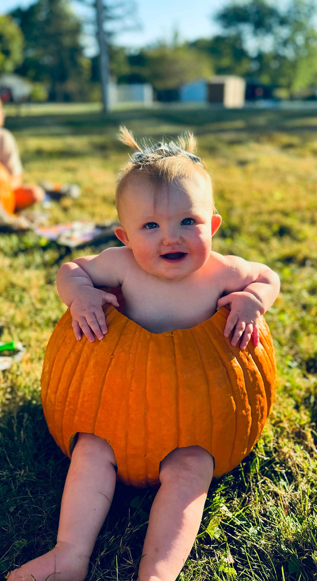 Haisten is registered to the contest to win money with this photo: baby, pumpkin, grass, outdoor, child, smiling, cute, sunlight, pigtails, fall, nature, playful, happy, barefoot, seasonal, person, holiday, fun, carving, daytime