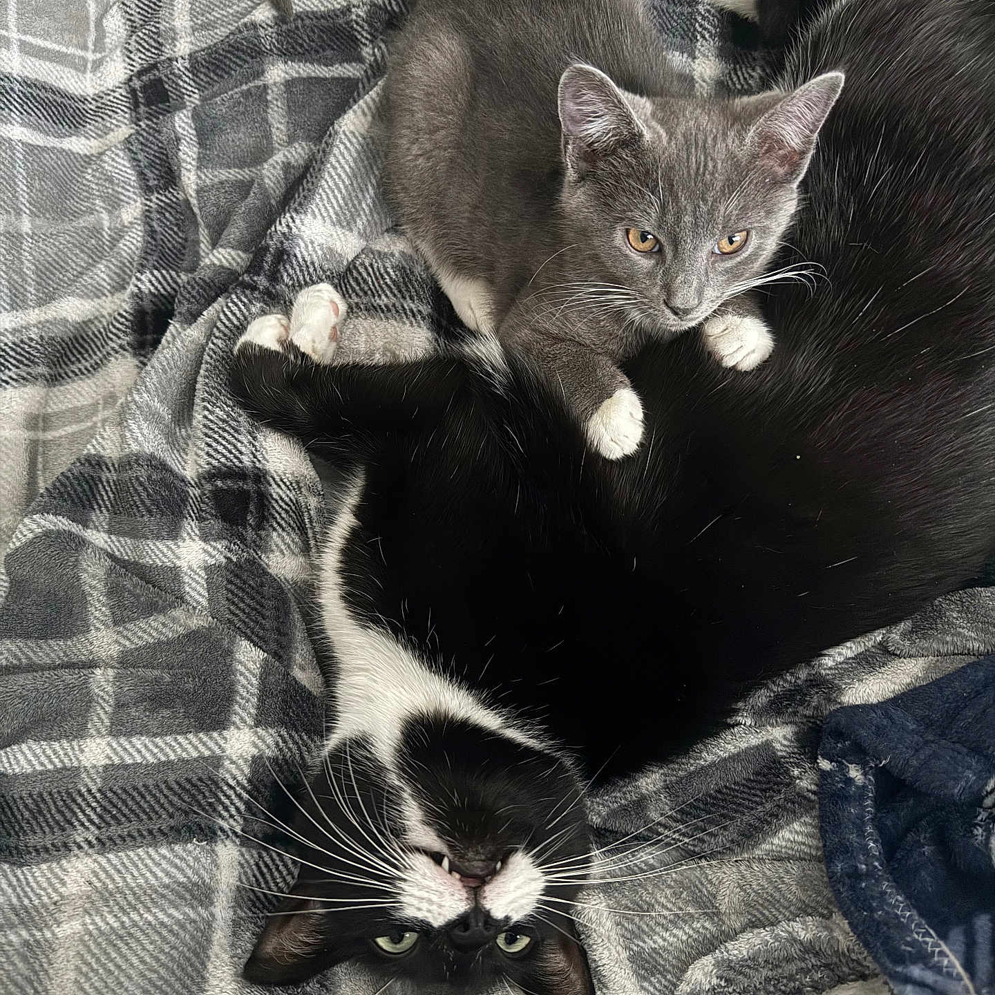 Merlin And Arthur